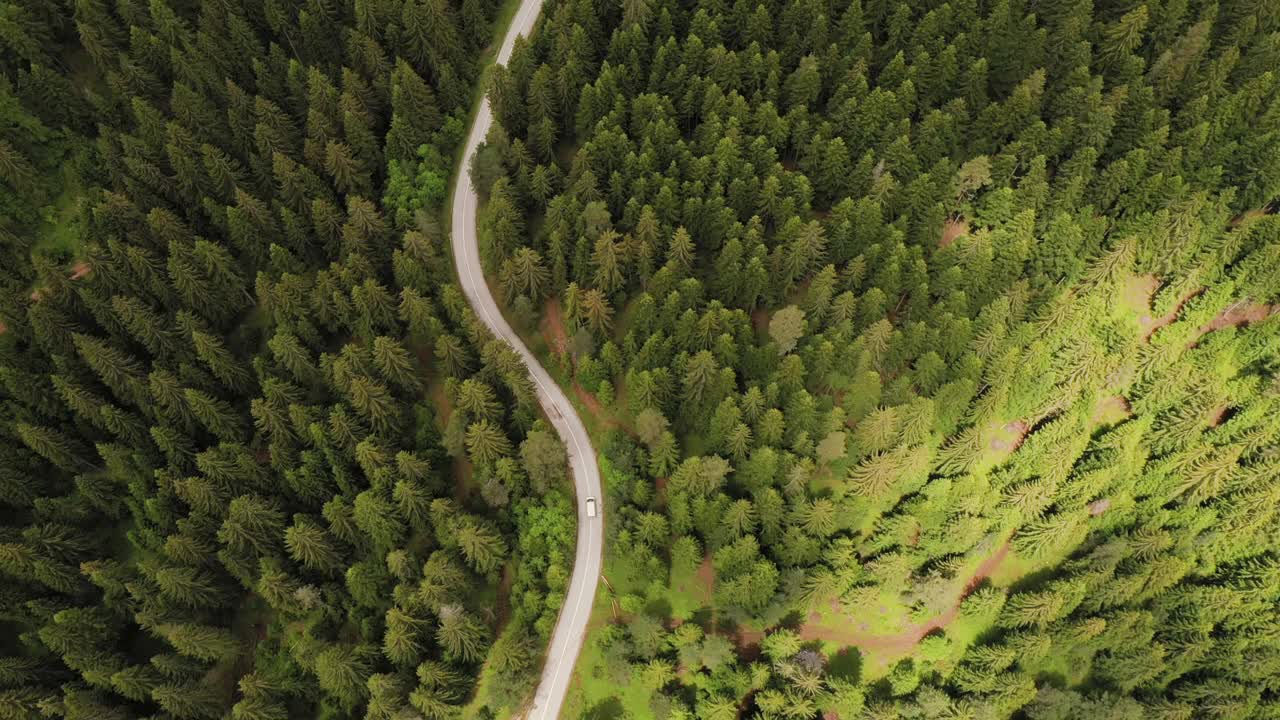 穿越森林的公路旅行视频素材