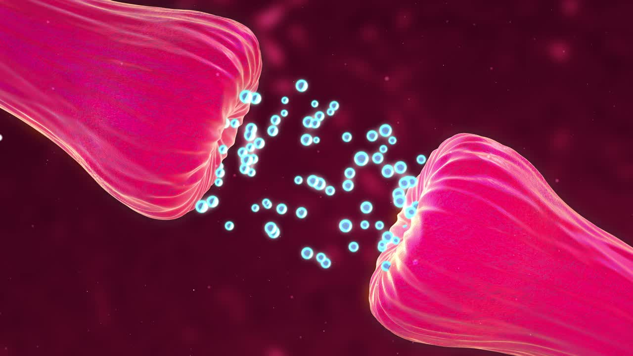神经元和突触活动动画显示释放的化学信使或神经递质。显示神经活动的神经元，突触，神经递质，大脑，轴突。视频素材