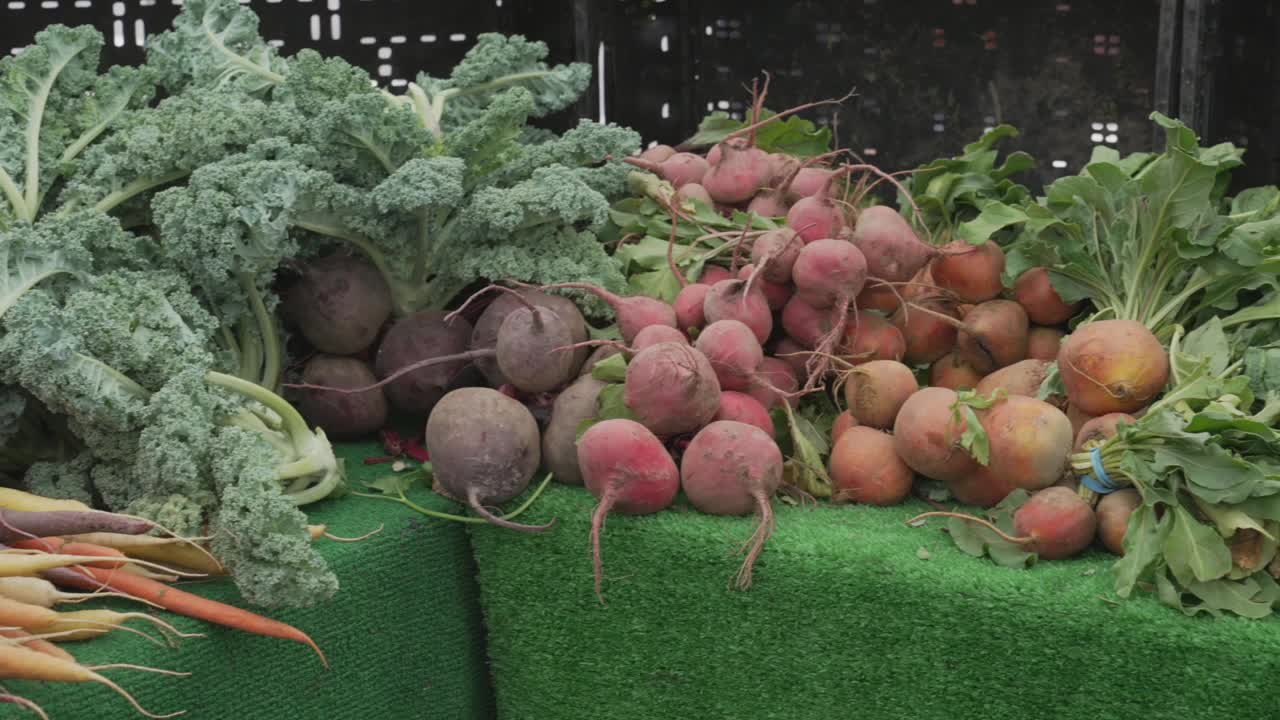 淘洗新鲜根菜农贸市场视频素材