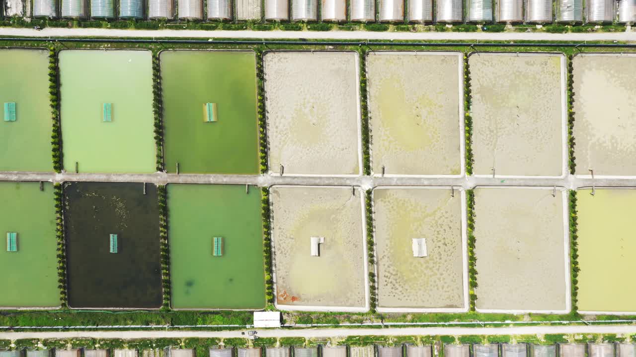 水塘及温室鸟瞰图视频素材