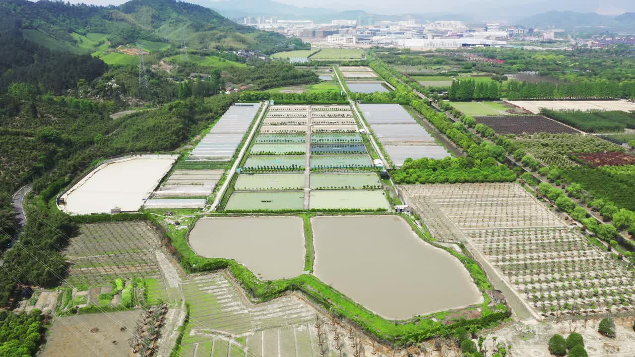 水塘及温室鸟瞰图视频素材