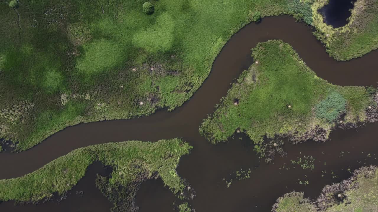 夏天早晨的风景。美丽的自然，草地与河流。视频素材