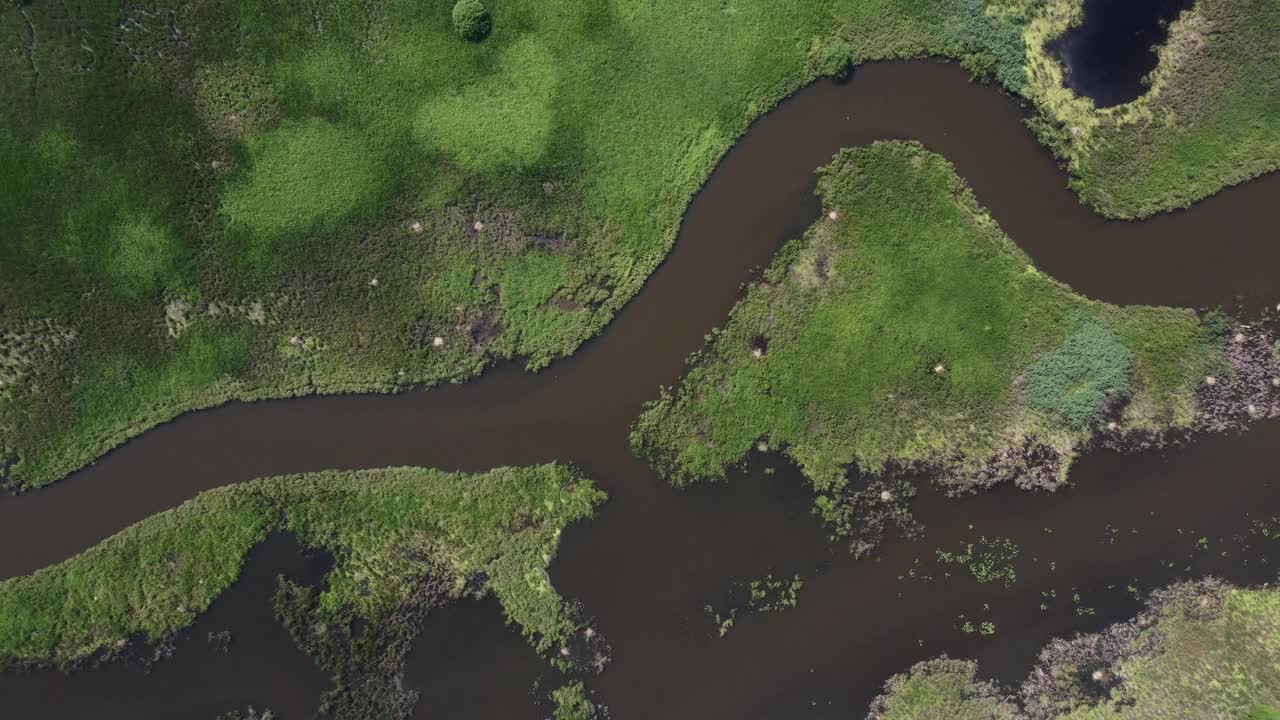 江水在原野中，绿草在河谷中架空。没有人在春天的太阳日自然景观。自然美景。森林中的田园绿意。海岸农田绿化视频素材