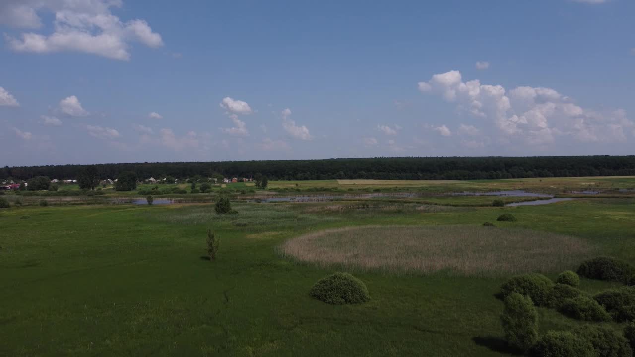 夏天早晨的风景。美丽的自然，草地与河流。视频素材