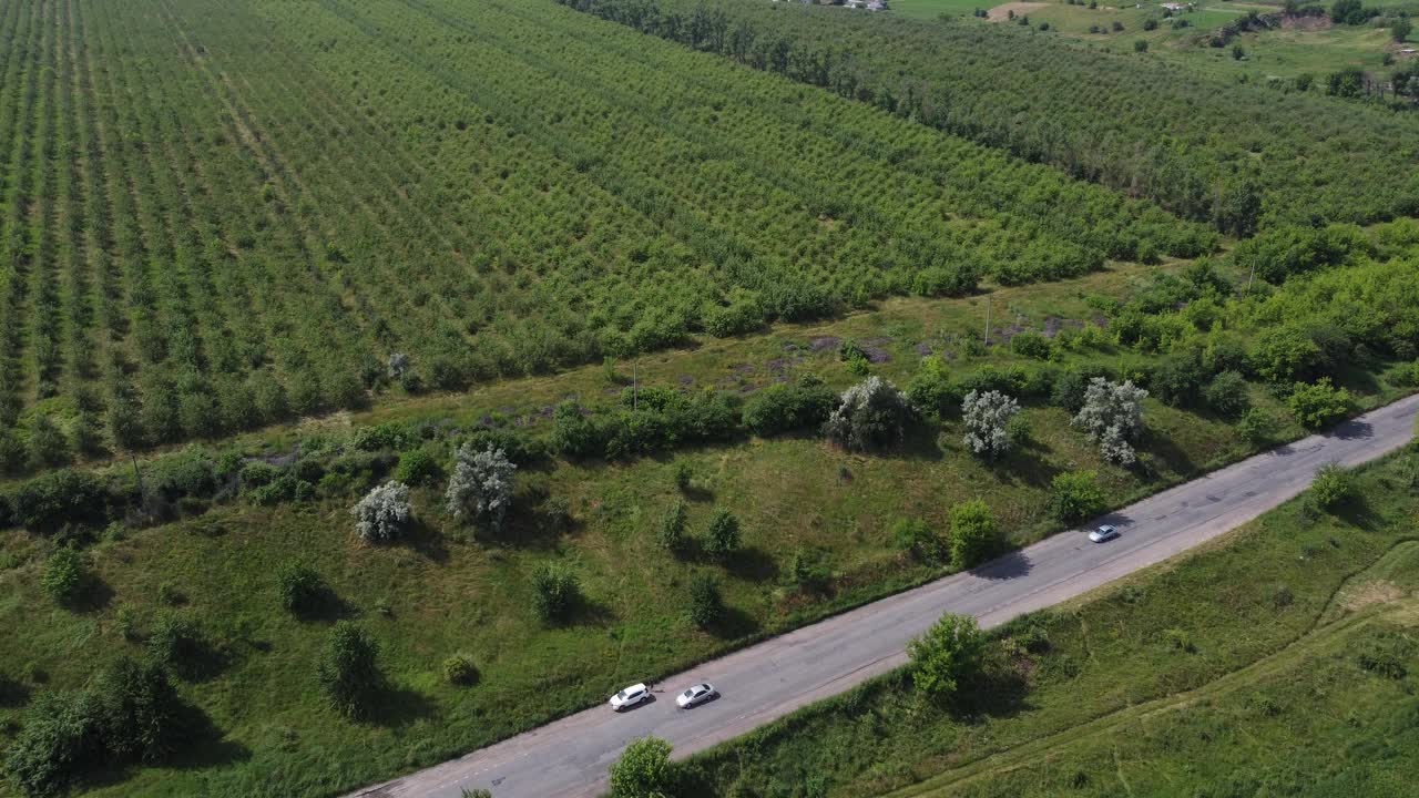 农村道路鸟瞰图。沿途的稻田。途经耕地、乡村的道路。视频素材