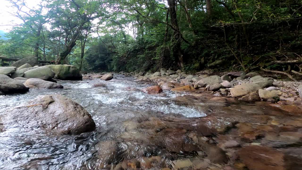 清澈的溪流，水下摄影视频素材