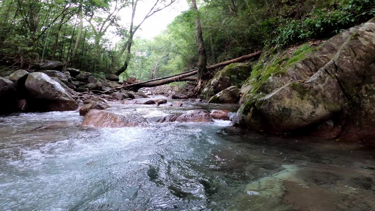 清澈的溪流，水下摄影视频素材