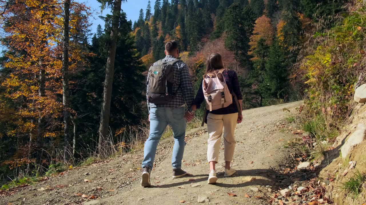 秋天有两名游客在森林里徒步旅行视频素材