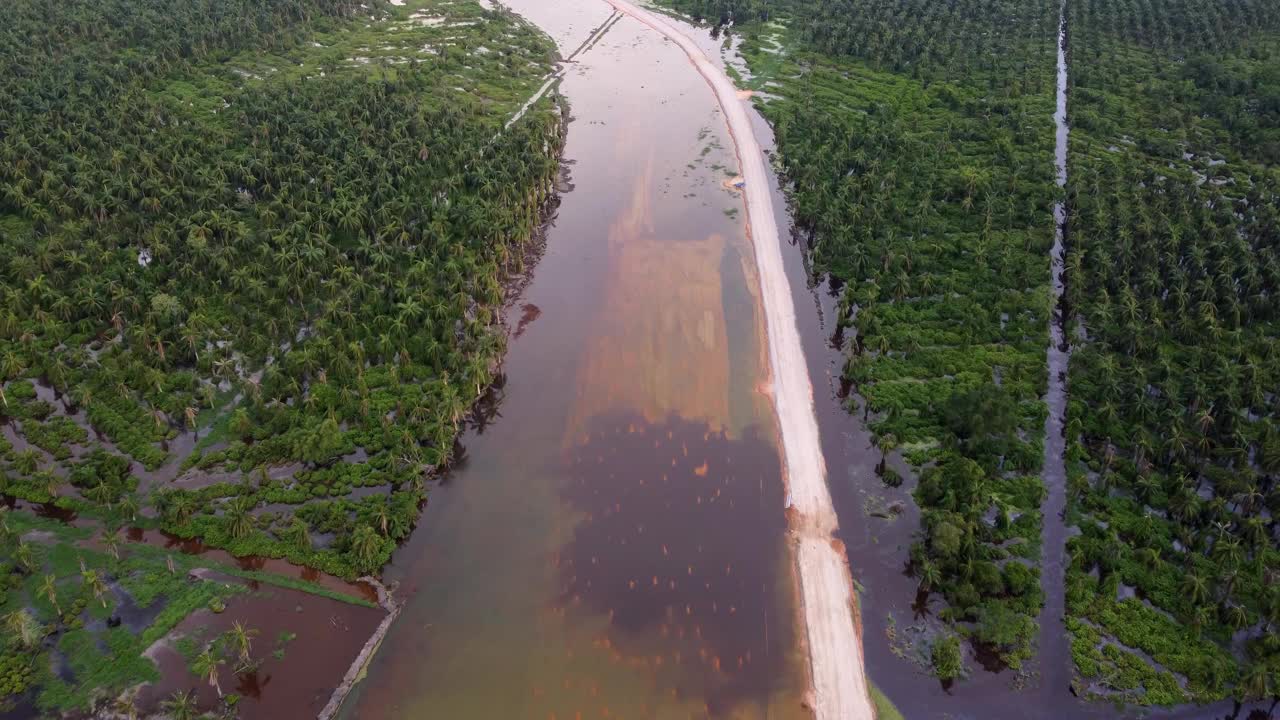 油棕种植园附近的洪水清澈视频素材