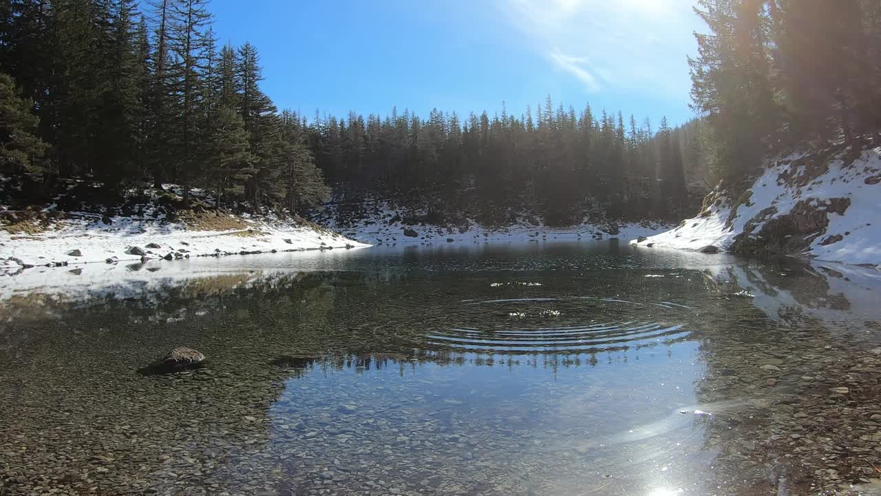 冬季奥地利绿湖平静水面上的田园诗般的景色。湖被雪包围着。湖的四周有一片茂密的森林。清水。阳光明媚的一天。平静和冷静视频素材