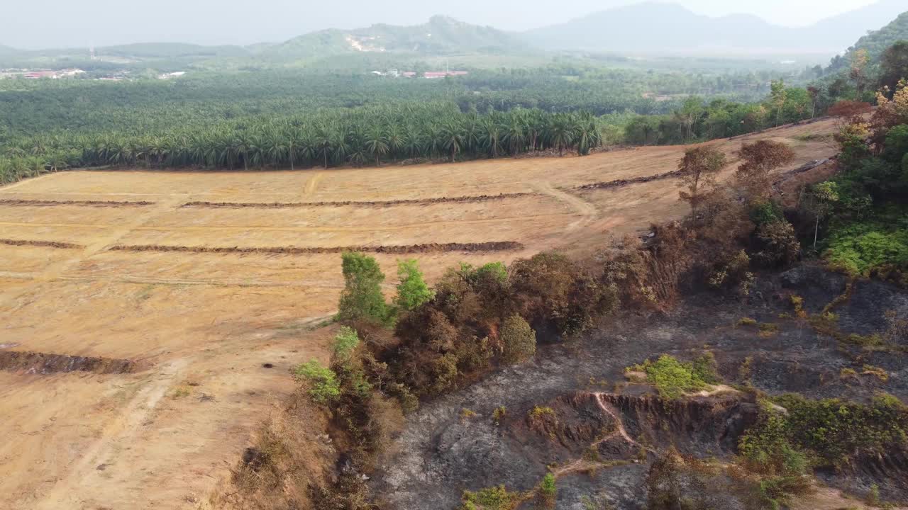 毁林、焚烧、清理土地视频素材