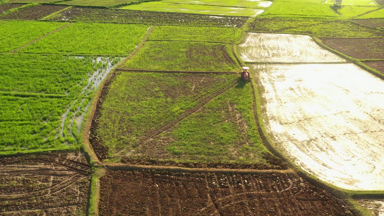 一架拖拉机在土壤中耕作水稻的鸟瞰图。收割农业制造商种植生产。自然环境景观。工业农场。南省泰国。视频素材