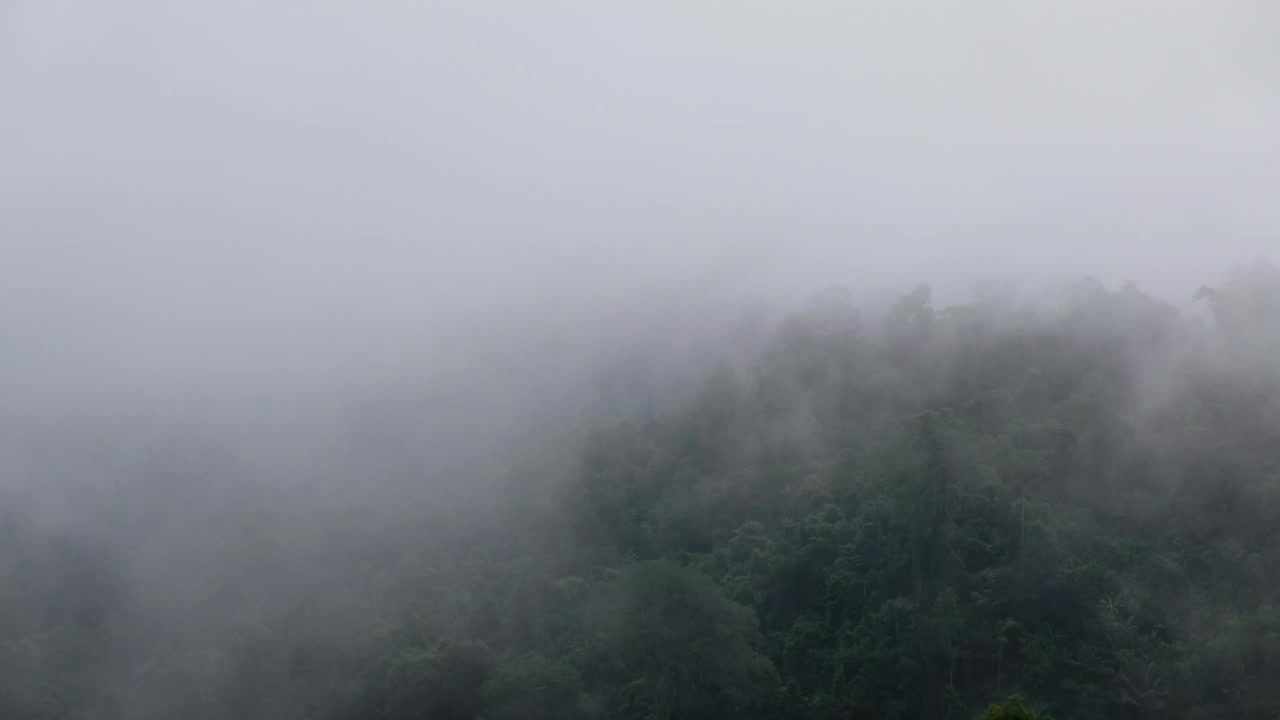 雾天森林中青山绿水的景观视频素材