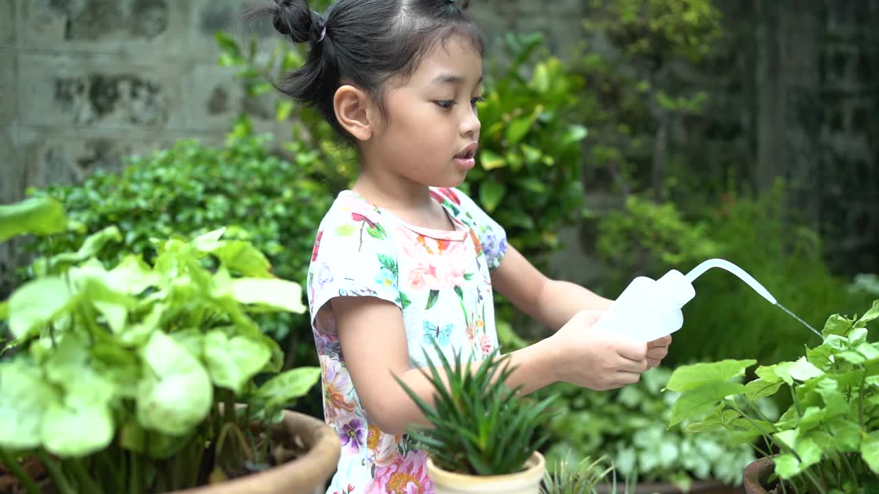 一个亚洲女孩正在花园里给植物浇水。视频下载