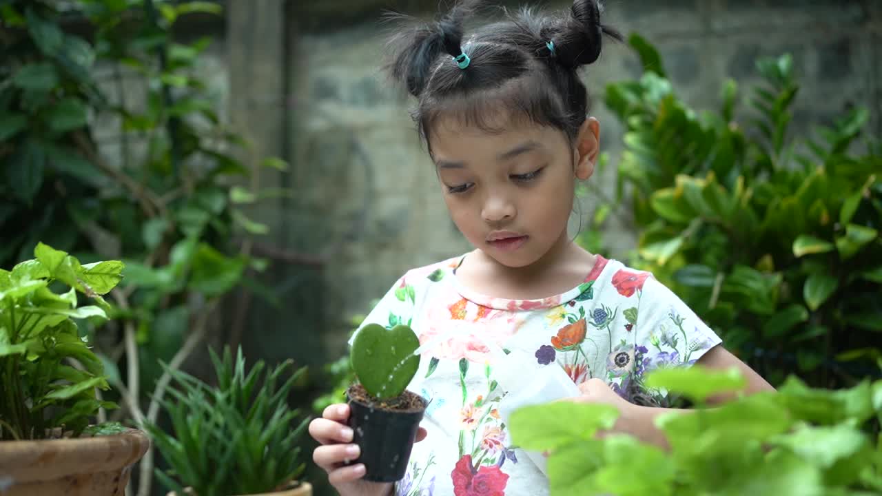 一个亚洲女孩正在花园里给植物浇水。视频下载