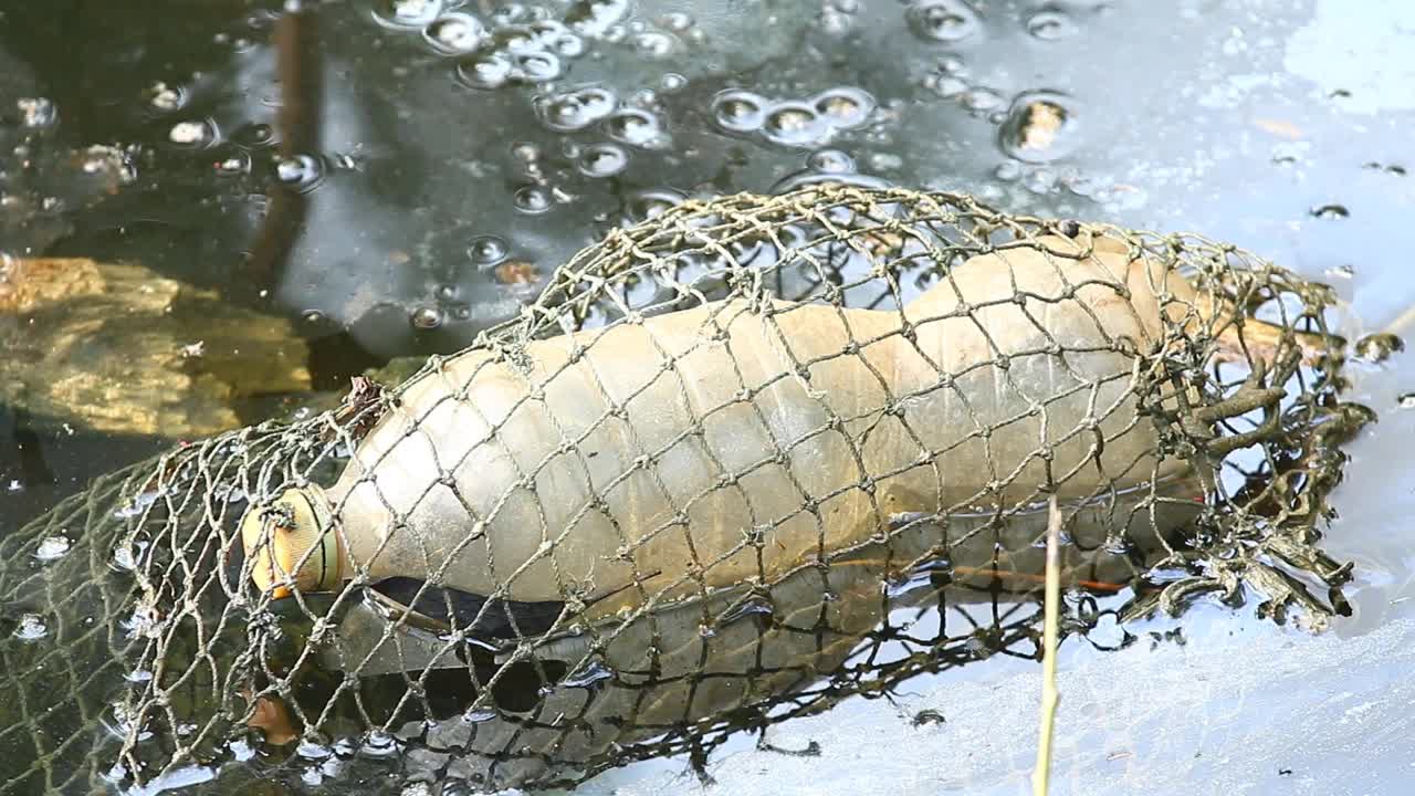 网里的塑料瓶漂浮在脏水上视频素材