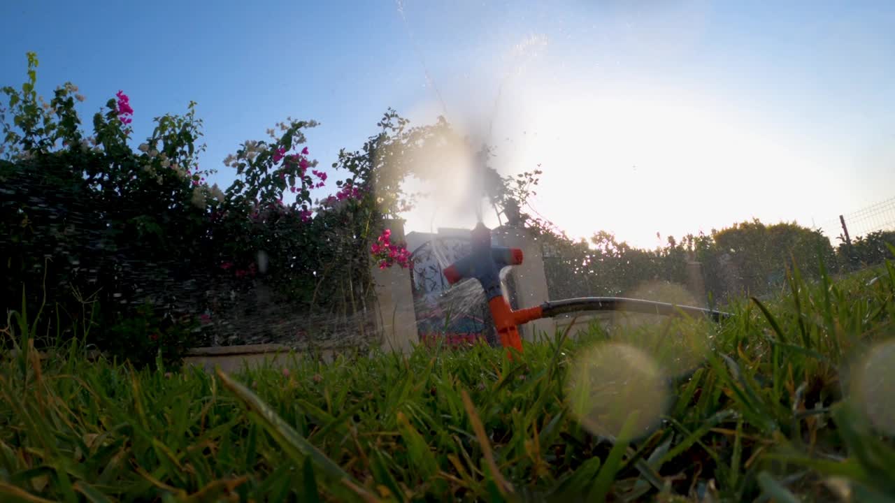 花园洒水器在绿色的草地和五颜六色的花朵上视频素材