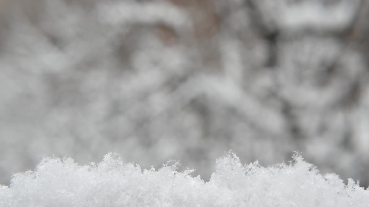 洁白的雪花飘落在冬天，圣诞雪花飘落在冬天。视频素材