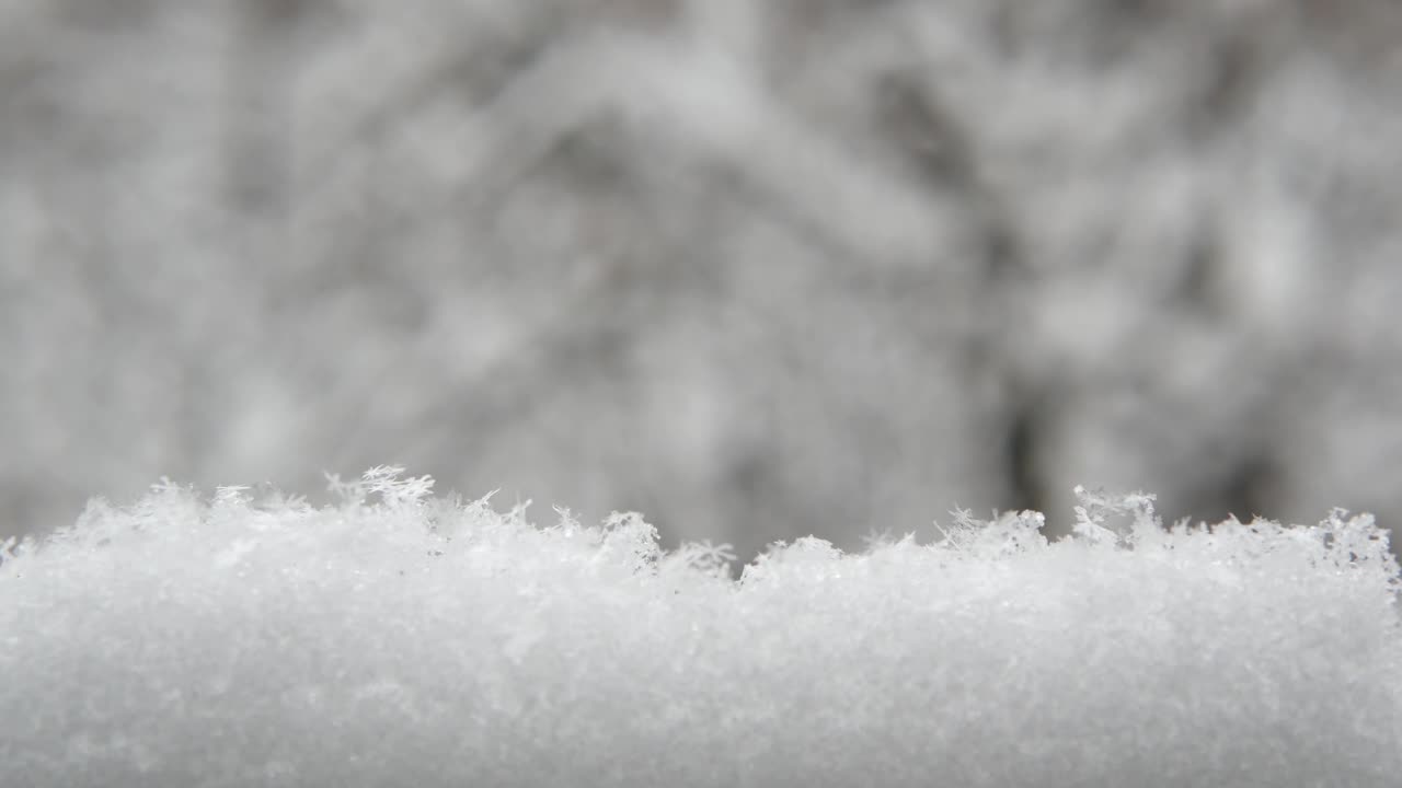 洁白的雪花飘落在冬天，圣诞雪花飘落在冬天。视频素材