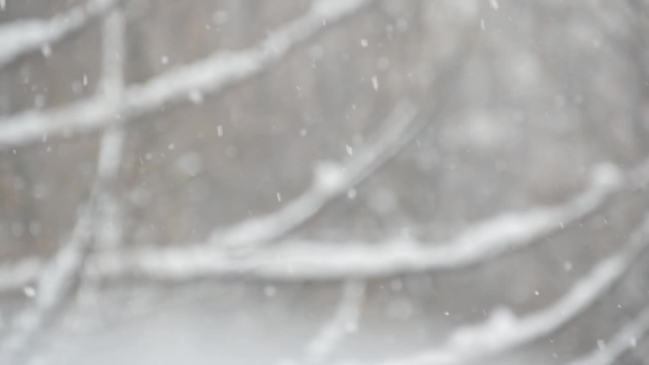 洁白的雪花飘落在冬天，圣诞雪花飘落在冬天。视频素材