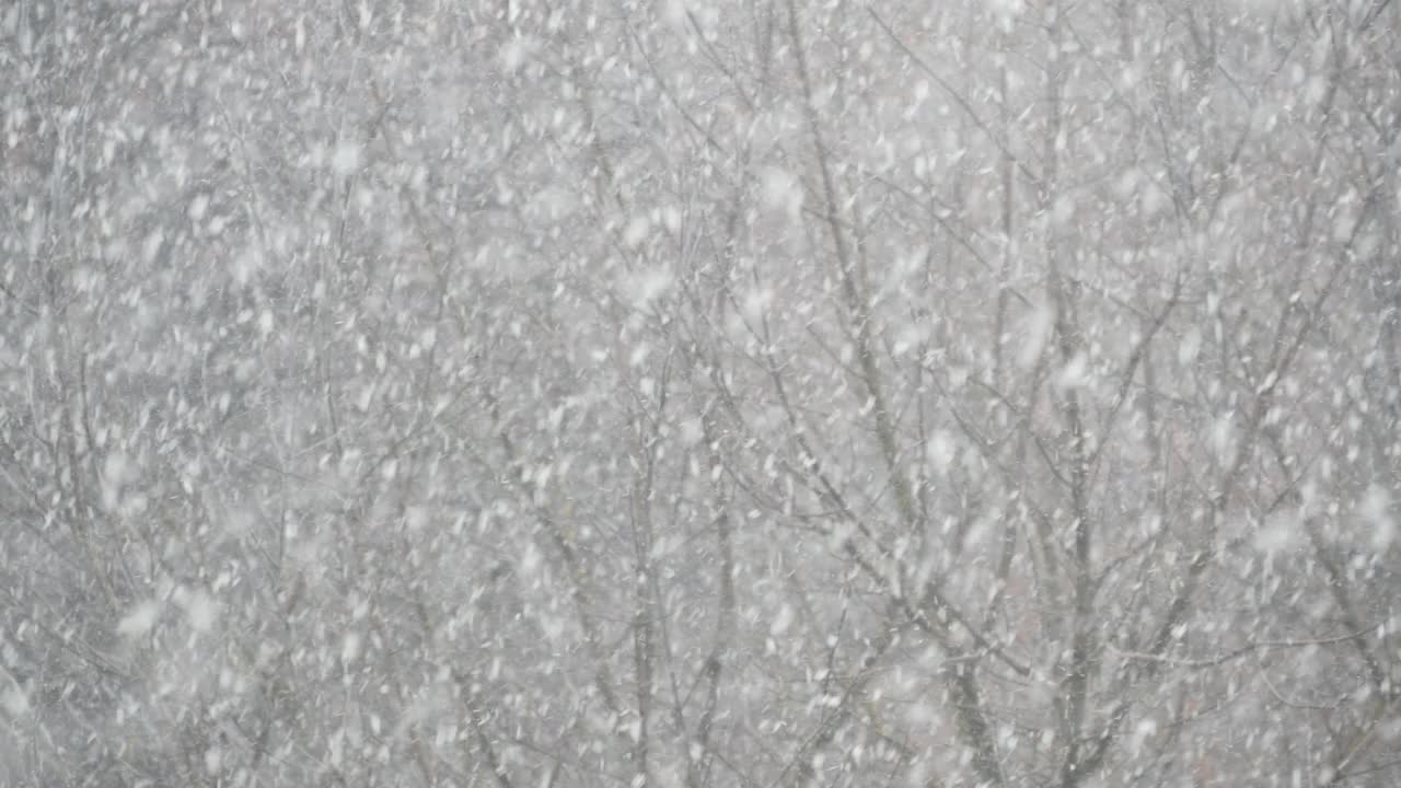 冬天的圣诞节雪花纷飞。洁白的雪花飘落在冬天。视频素材