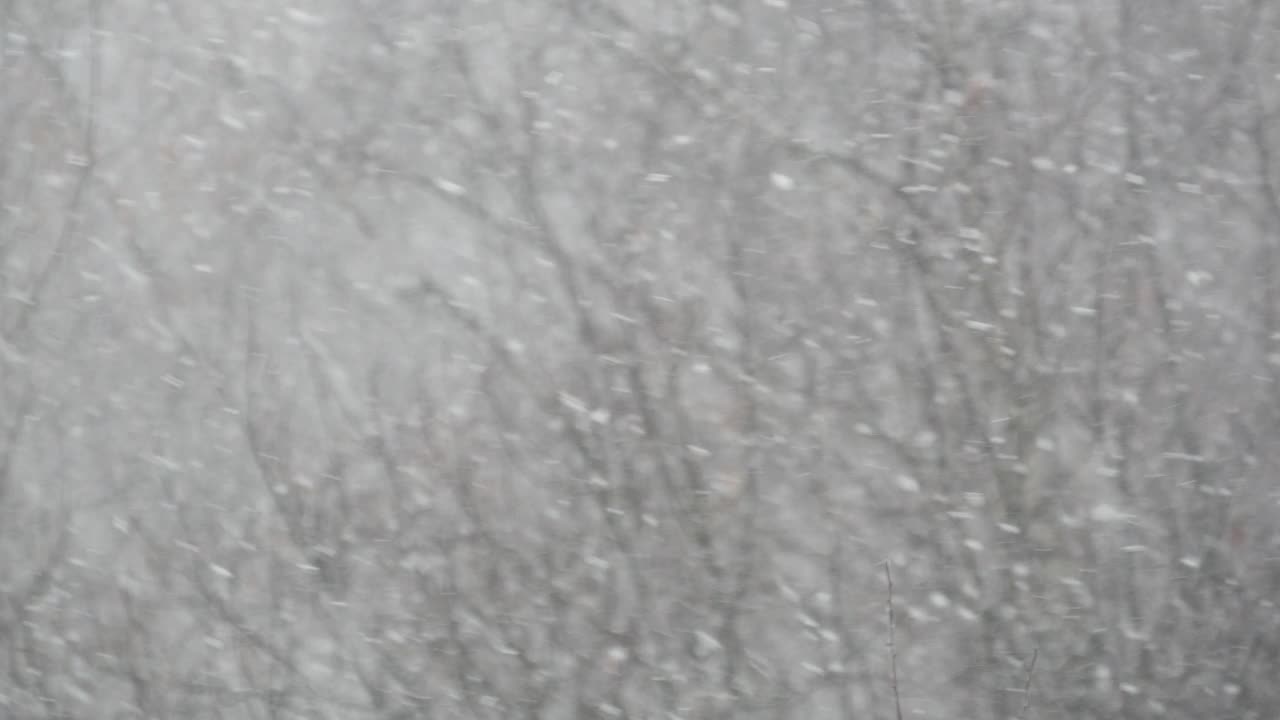 洁白的雪花飘落在冬天，圣诞雪花飘落在冬天。视频素材