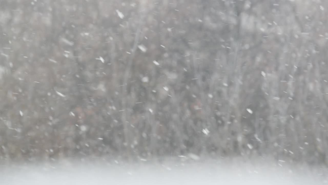 洁白的雪花飘落在冬天，圣诞雪花飘落在冬天。视频素材