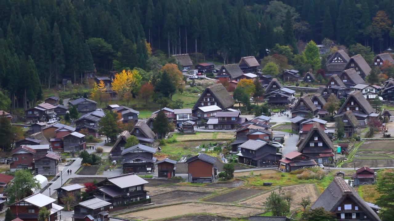 秋天的白川吾村视频素材