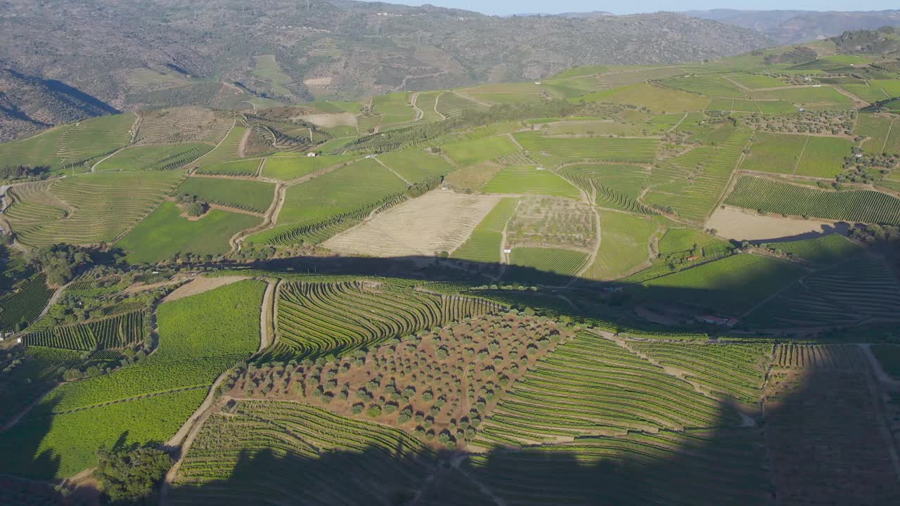 鸟瞰图，梯田葡萄园在浪漫的日落杜罗山谷附近的品豪村。在葡萄牙旅游的概念和葡萄牙最美丽的地方葡萄酒港葡萄酒农场Unesco视频素材