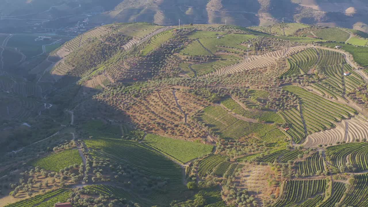 鸟瞰图，梯田葡萄园在浪漫的日落杜罗山谷附近的品豪村。在葡萄牙旅游的概念和葡萄牙最美丽的地方葡萄酒港葡萄酒农场Unesco视频素材