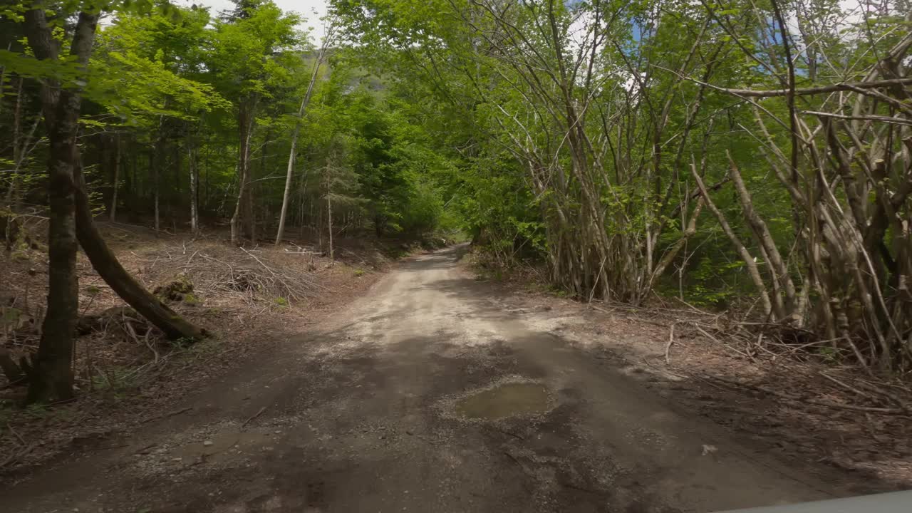 驾车穿过山景视频素材