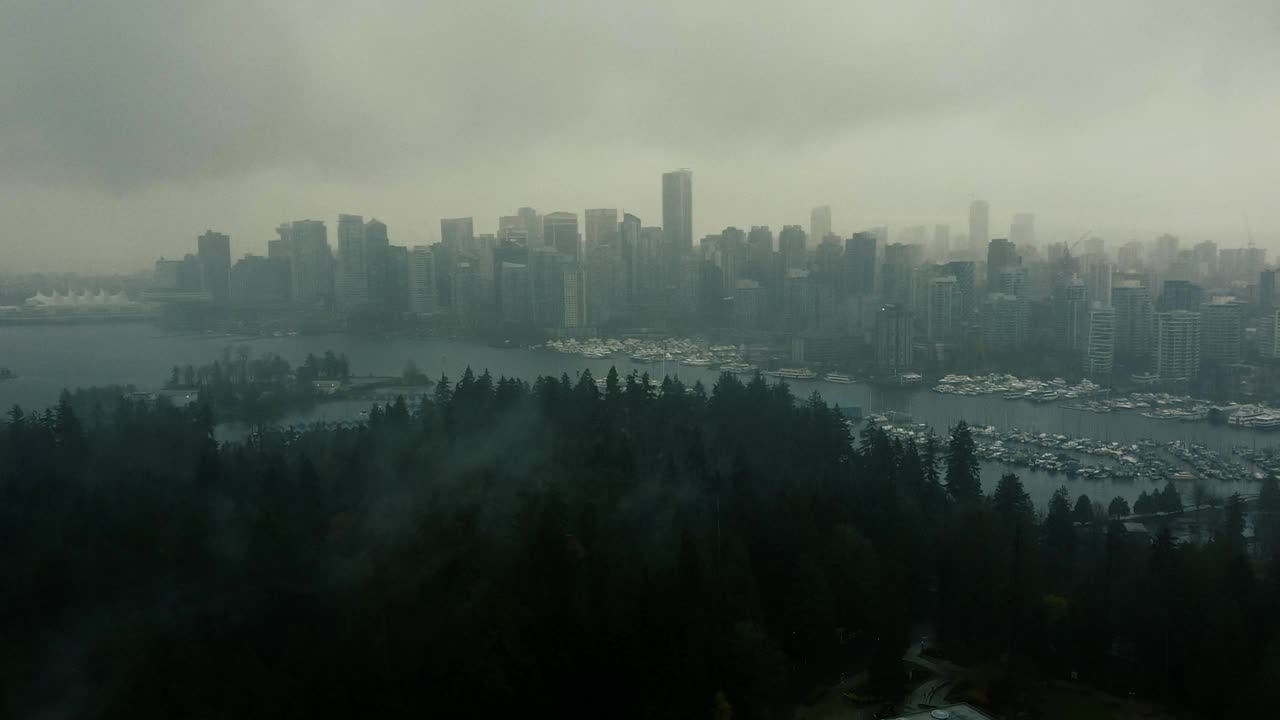 空中拍摄的温哥华市中心雨后云杉树视频素材