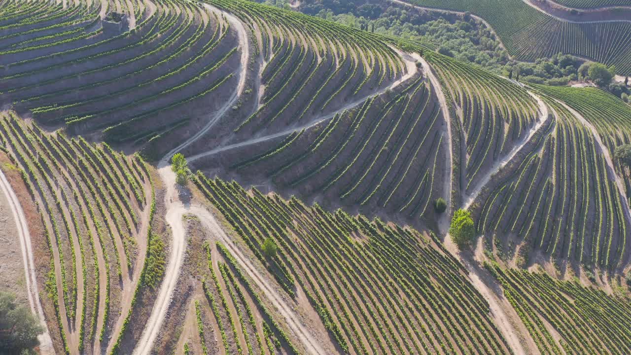 鸟瞰图，梯田葡萄园在浪漫的日落杜罗山谷附近的品豪村。在葡萄牙旅游的概念和葡萄牙最美丽的地方葡萄酒港葡萄酒农场Unesco视频素材