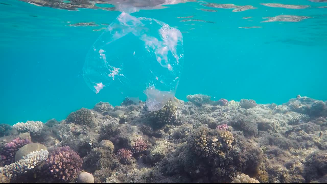 热带海洋中珊瑚和鱼类的塑料污染视频素材