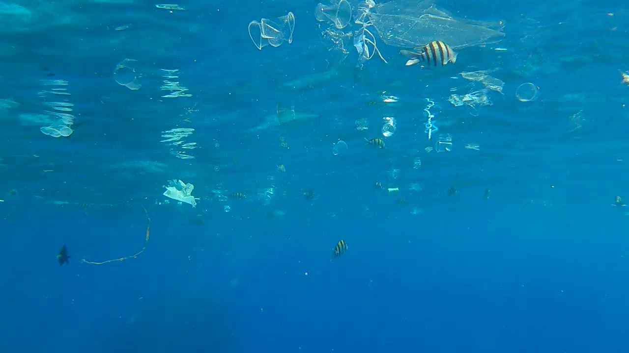 许多塑料垃圾和彩色热带鱼漂浮在水中。水下拍摄，海洋塑料污染。红海的大量塑料污染(4K - 60fps)视频素材