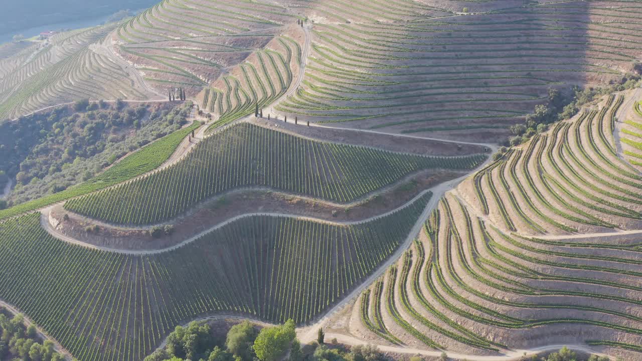 鸟瞰图，梯田葡萄园在浪漫的日落杜罗山谷附近的品豪村。在葡萄牙旅游的概念和葡萄牙最美丽的地方葡萄酒港葡萄酒农场Unesco视频素材