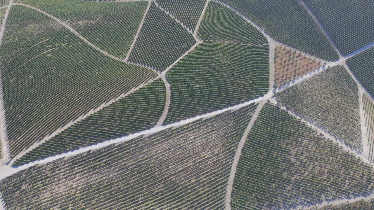 鸟瞰图，梯田葡萄园在浪漫的日落杜罗山谷附近的品豪村。在葡萄牙旅游的概念和葡萄牙最美丽的地方葡萄酒港葡萄酒农场Unesco视频素材