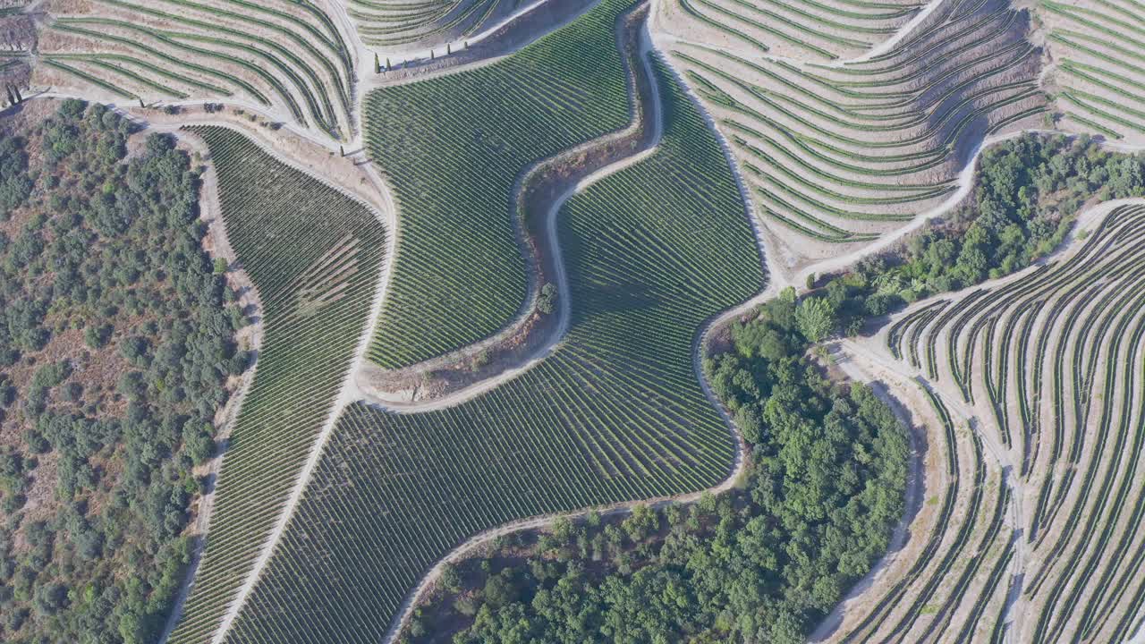 鸟瞰图，梯田葡萄园在浪漫的日落杜罗山谷附近的品豪村。在葡萄牙旅游的概念和葡萄牙最美丽的地方葡萄酒港葡萄酒农场Unesco视频素材