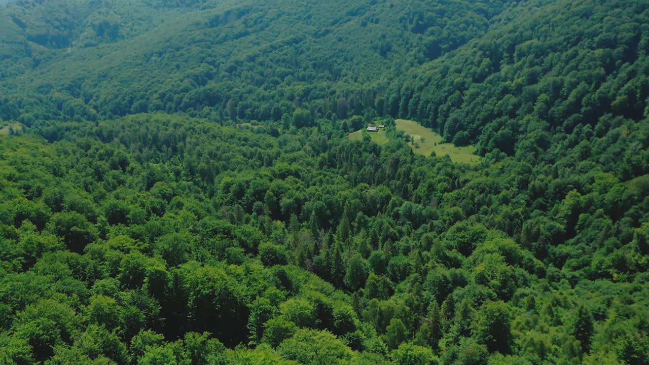 在夏季的一天，在混合的绿色森林中林中空地的鸟瞰图。视频素材