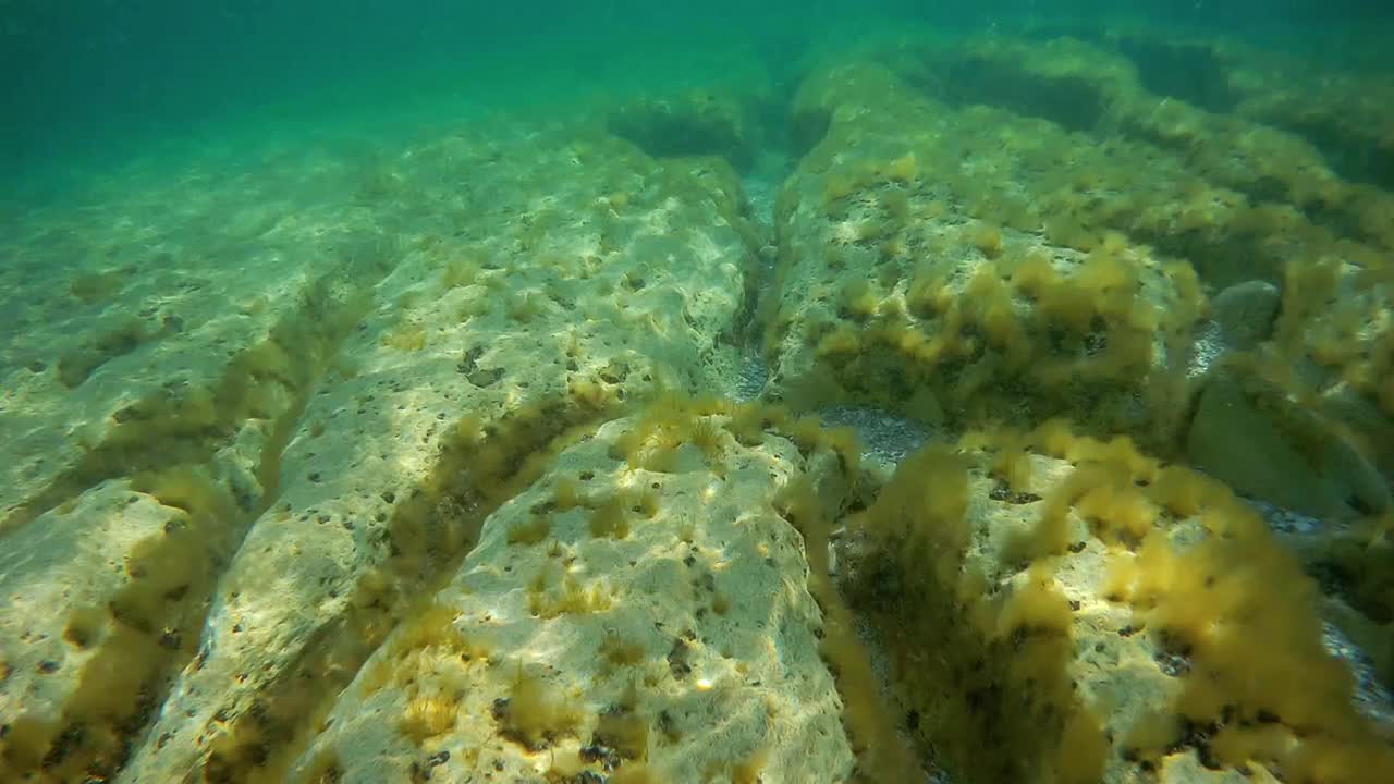 海底景观。里海。视频素材