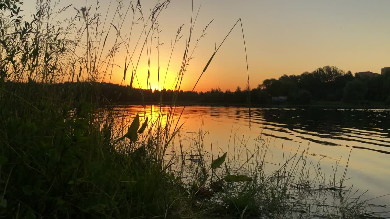 宁静的夏日风景在湖边的黄金时间与水在岸边慢慢荡漾。视频素材