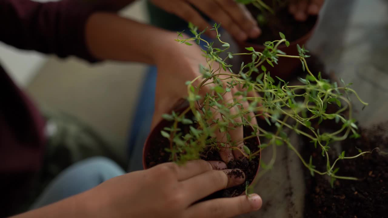 孩子们在家做园艺的特写视频素材