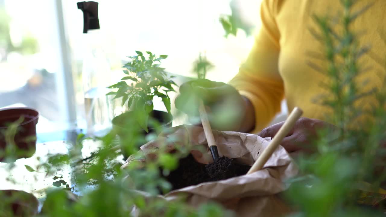 男人在家照顾植物的特写镜头视频素材