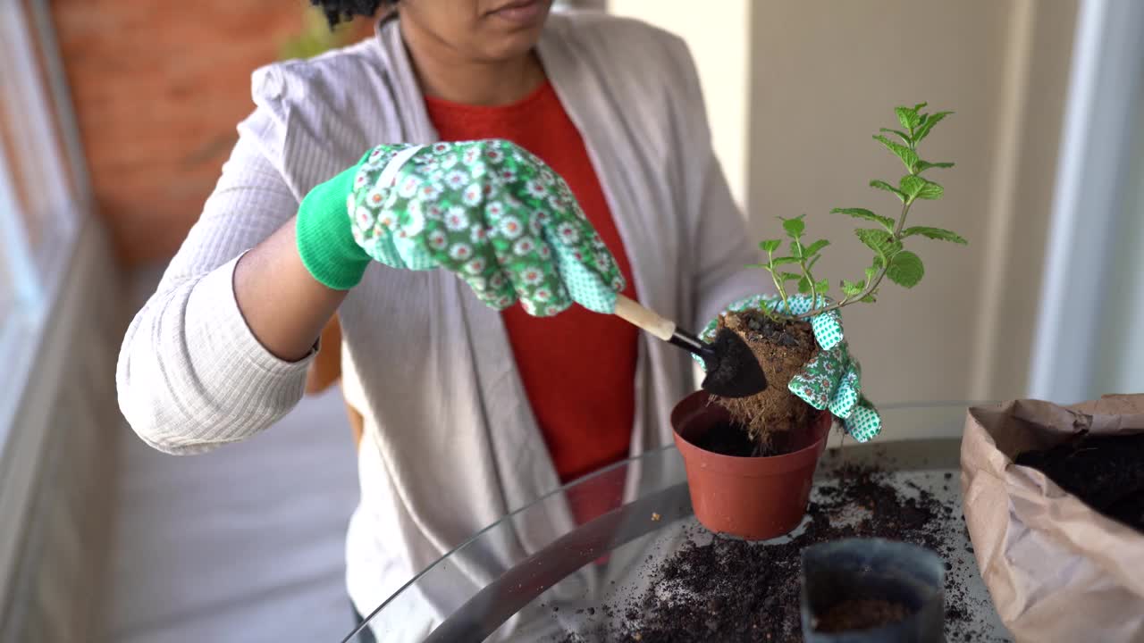 在家照顾植物的女人视频素材