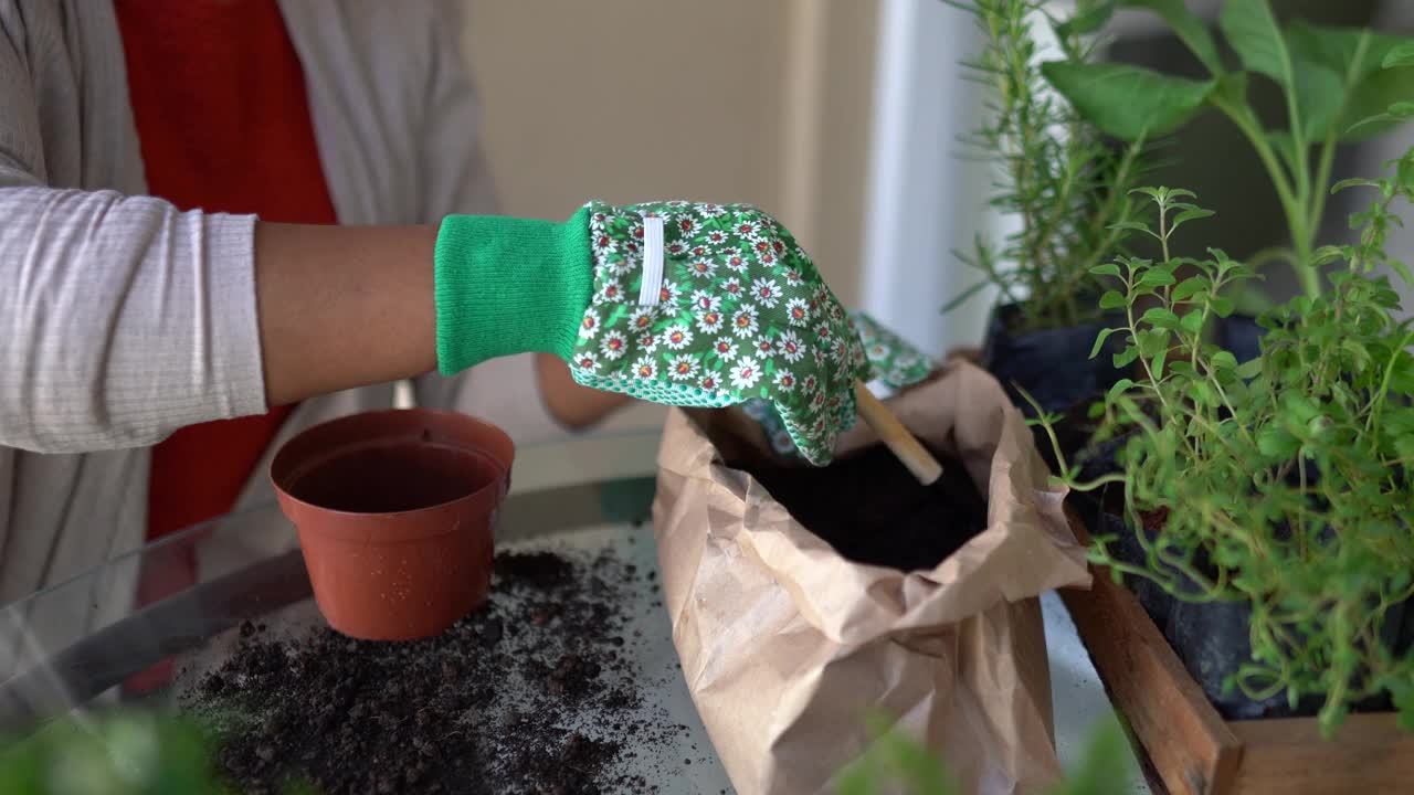 在家照顾植物的女人视频素材