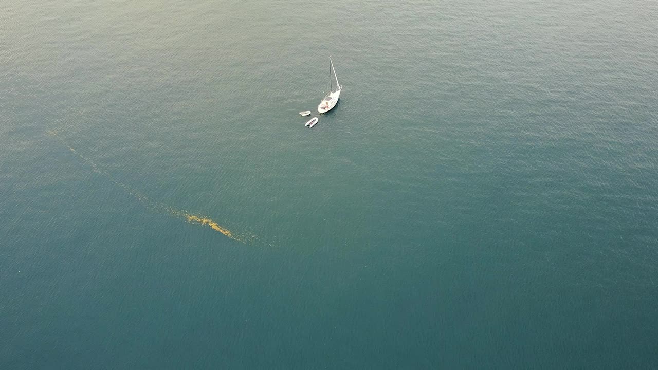 飞越停泊在加拿大水域的太阳能电池游艇视频素材