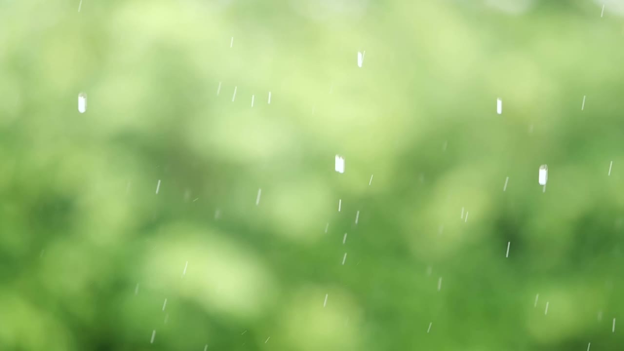 以自然绿色为背景，热带清新雨季为背景概念的雨点缓缓落下视频下载