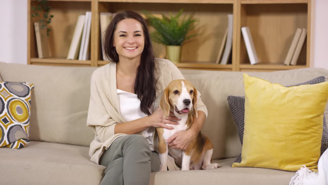 快乐的女主人与可爱的小猎犬在沙发上拍照视频素材