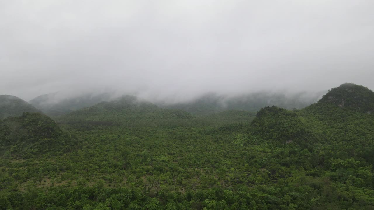 雨后绿色大自然的鸟瞰图视频素材