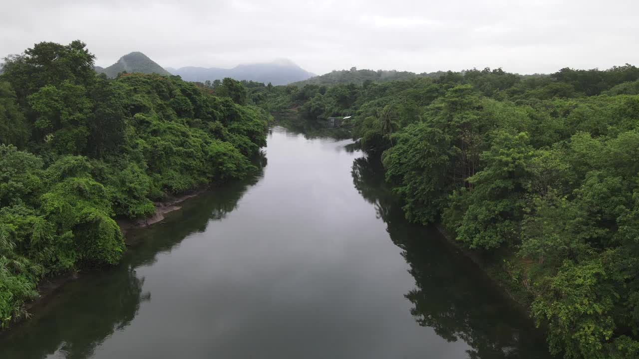 鸟瞰绿色大自然，宁静河流，雨后飞越热带绿色森林视频素材